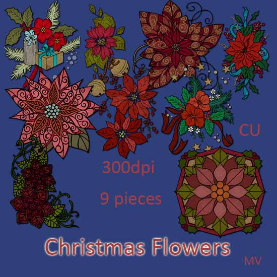 Chrstmas Flowers - Click Image to Close