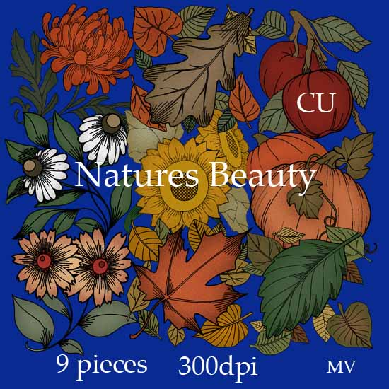 Natures Beauty - Click Image to Close