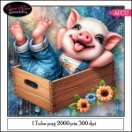 EW AI Pig 01 2024
